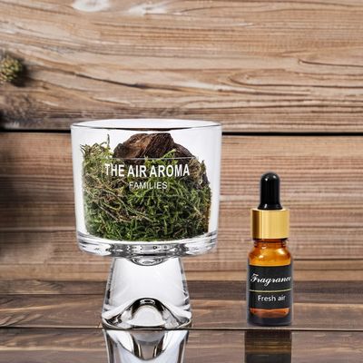 맞춤형 컬러 고급 100ml 모스 Reed Diffuser Set with Nature-inspired scented oil 자연에서 영감을 받은 향기 기름