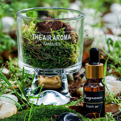 기능 럭셔리 선물 포장을위한 신선한 공기를 유지하는 창의적 디자인 Reed 세트