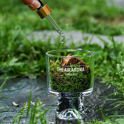 100ml 유리 향유 모스 디프우저 가려운 가정용 장식품 자연에서 영감을 받은 향수 선물