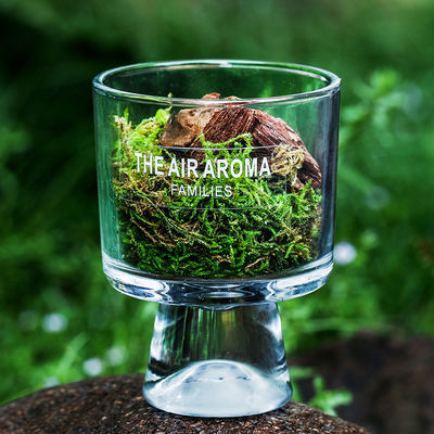 100ml 자연에서 영감을 받은 모스 디퓨저 신선한 공기를 유지하기 위한 창조적인 향유 디퓨저