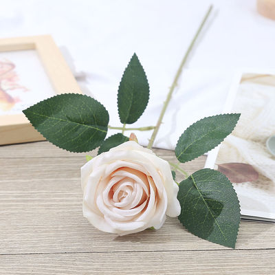 신선한 단종 솔리다고 핑크 로즈 꽃다발