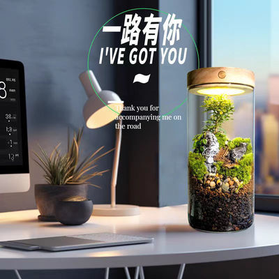 모스 본사이 바닥/쇼핑몰 점토로 된 디스플레이 세라믹 유리 온실 큰 크기