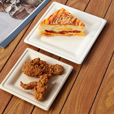 환경 친화적 인 사탕수수 바가세 일회용 저녁 접시 천연 색상 9 인치