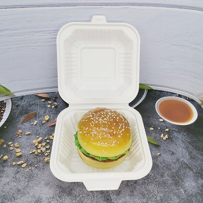 마이크로 웨이브 안전 광장 플라스틱 점심 상자 식품 포장용 생물 분해 용기